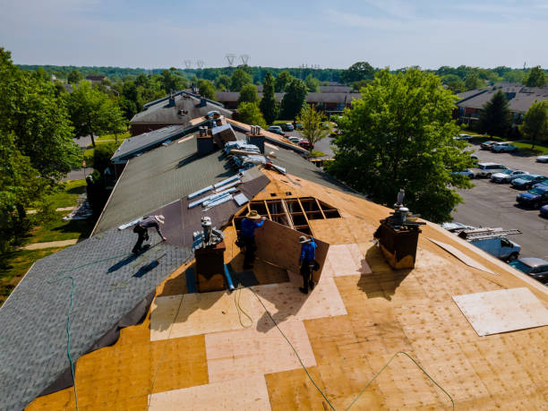 Best Flat Roof Repair Services  in Hughes Springs, TX
