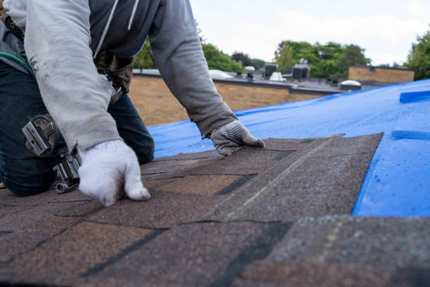 Best Residential Roof Replacement  in Hughes Springs, TX